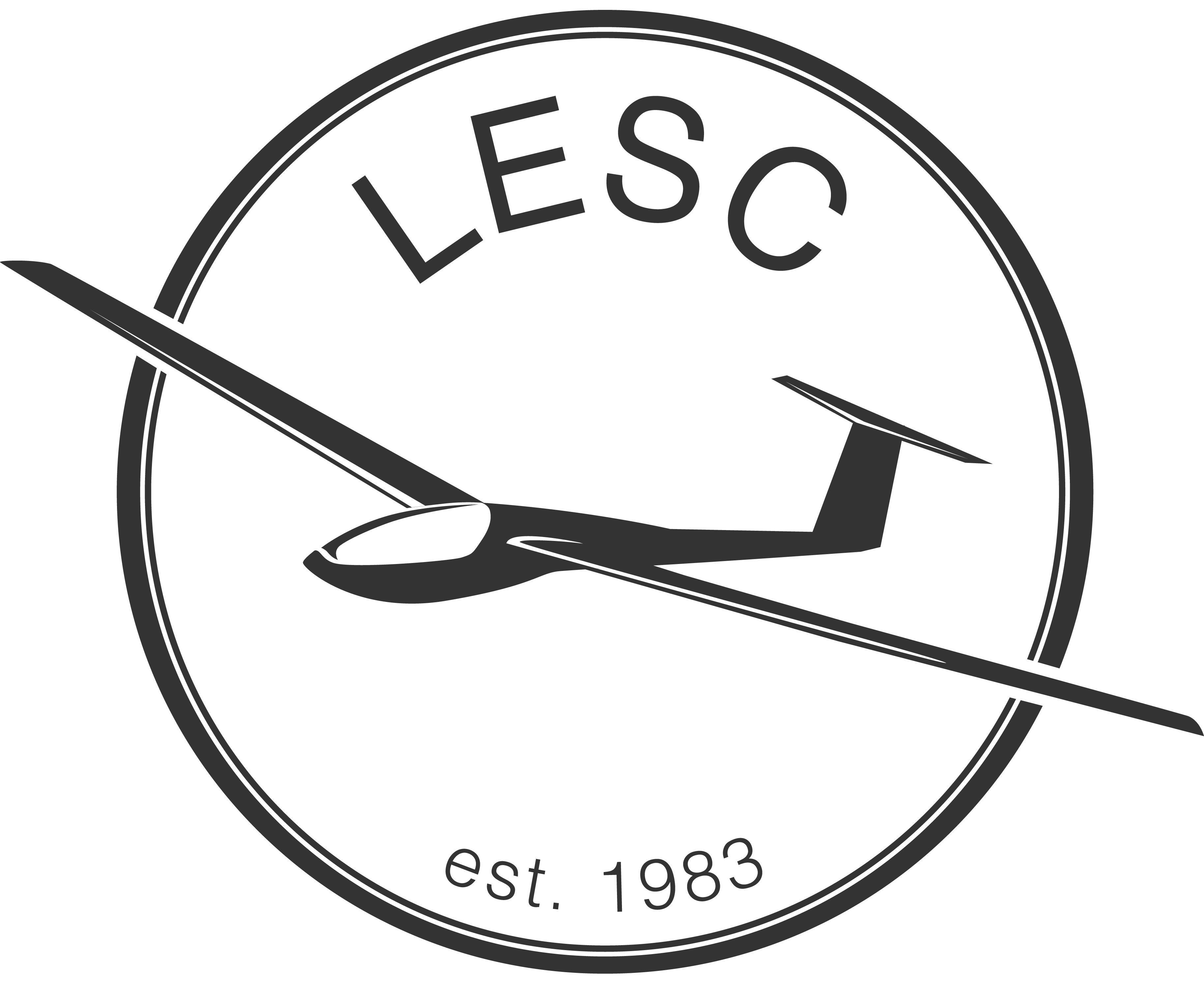 Lake Elsinore Soaring Club Logo